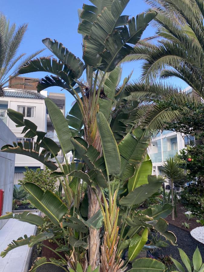 Sun And Surf Stay Corralejo Exterior foto