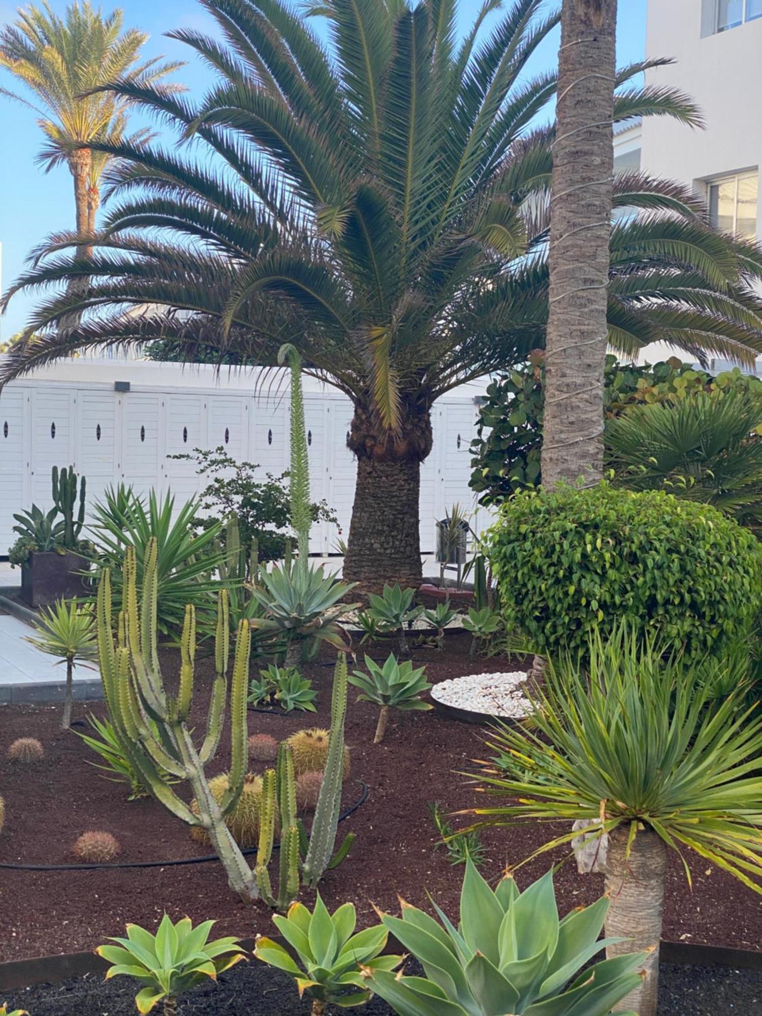 Sun And Surf Stay Corralejo Exterior foto